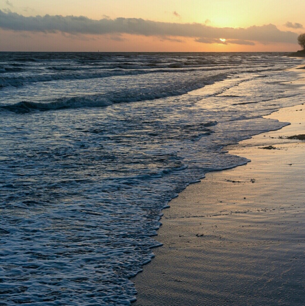 Meet your Posher, Lovely